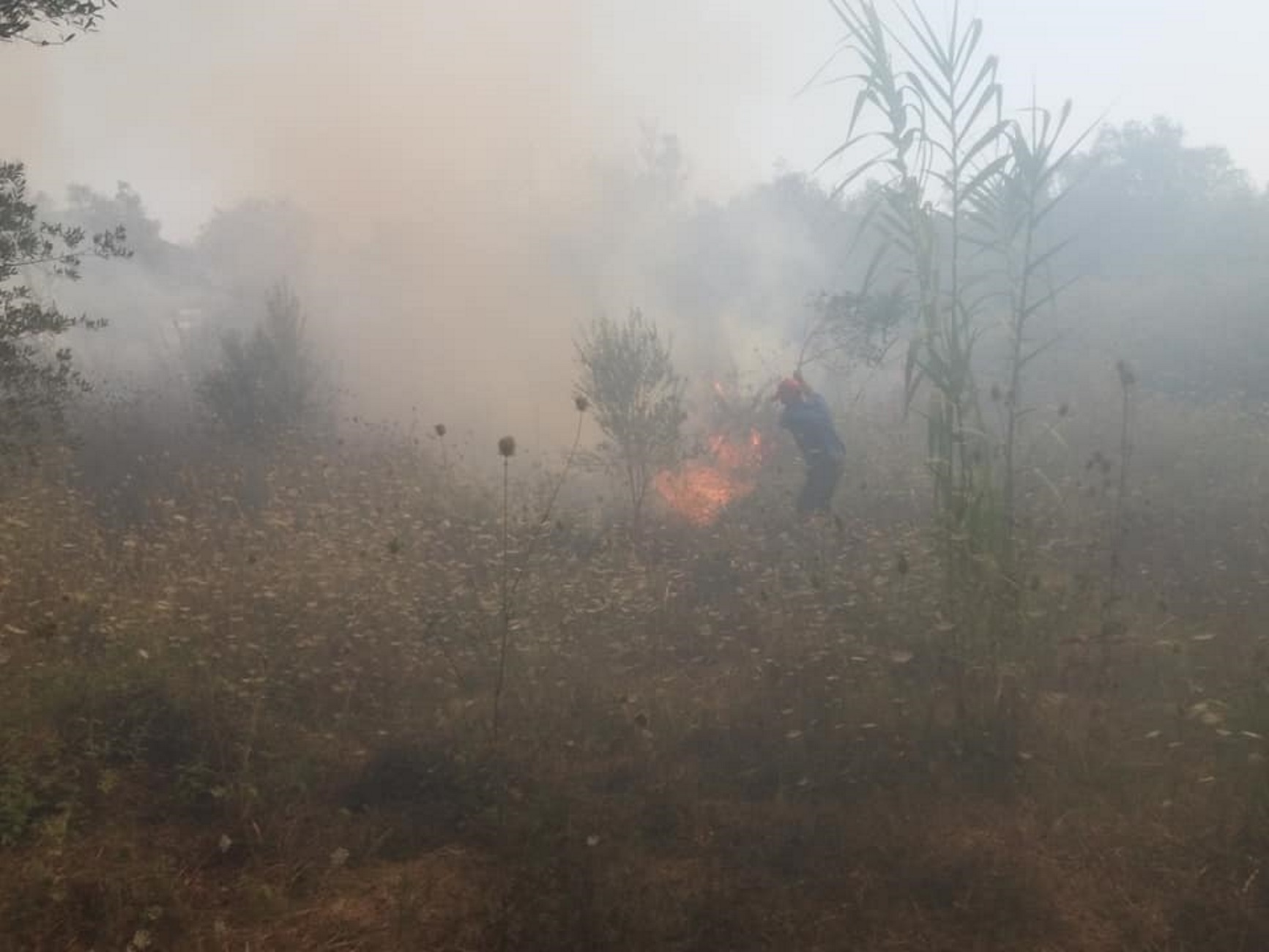 Κέρκυρα: Υπό έλεγχο η φωτιά στα Κρητικά  Λευκίμμης