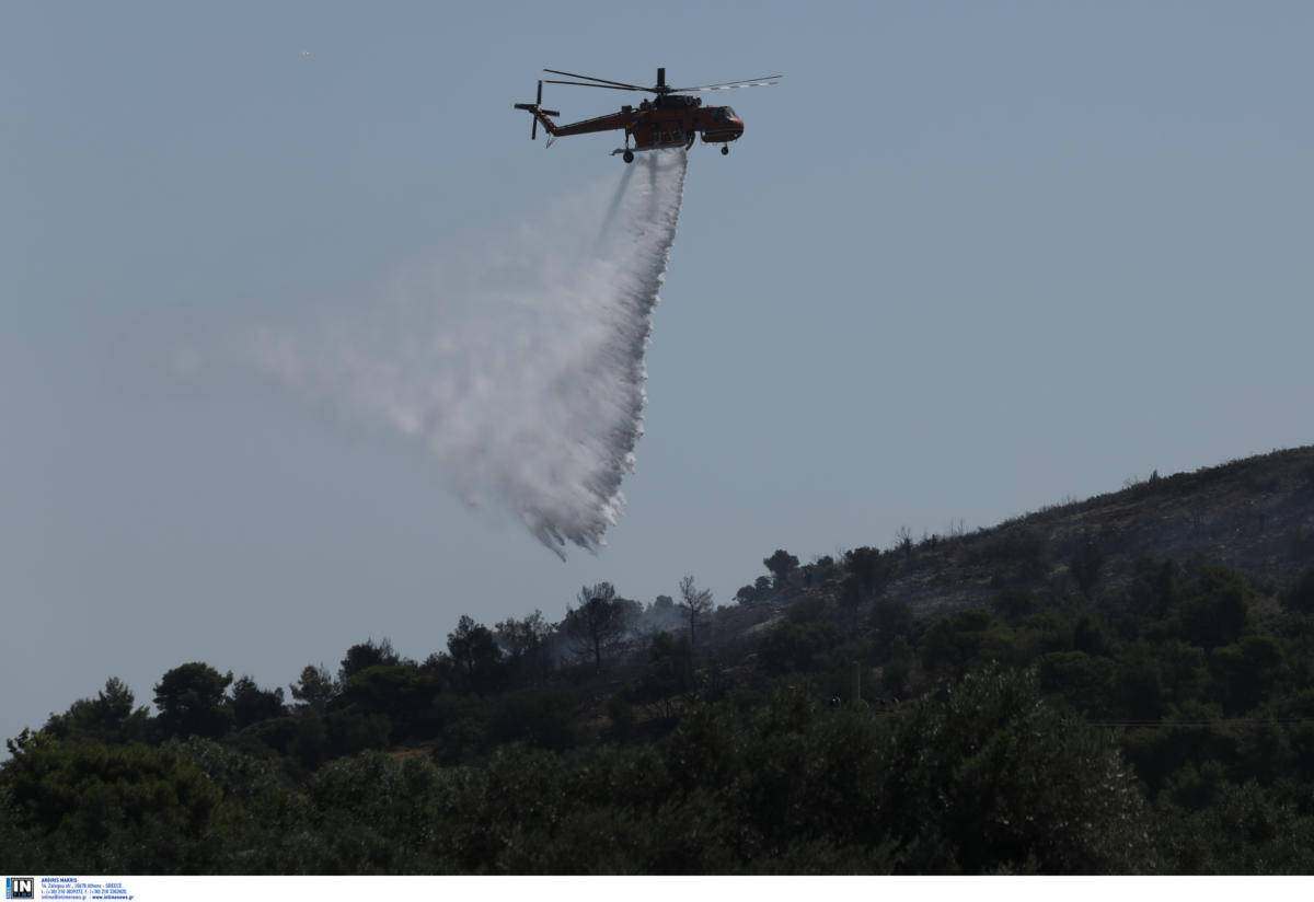 Φωτιά στο Πεταλίδι Μεσσηνίας