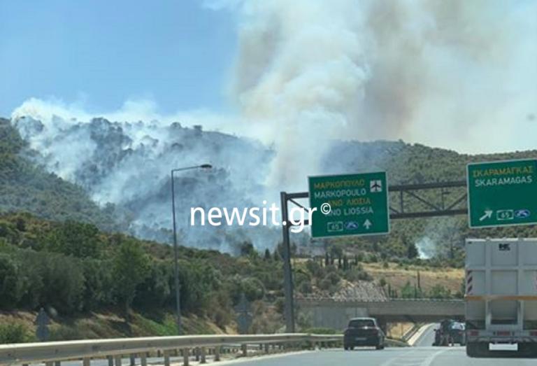 Î¦Ï‰Ï„Î¹Î¬ ÏƒÏ„Î·Î½ Ï€ÎµÏÎ¹Ï†ÎµÏÎµÎ¹Î±ÎºÎ® Î‘Î¹Î³Î¬Î»ÎµÏ‰