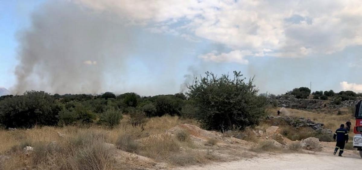 Φωτιά στην Ζωοδόχο Ιωαννίνων – Ισχυρές δυνάμεις της πυροσβεστικής στην περιοχή