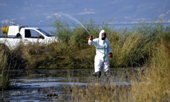 Έκτακτη σύσκεψη στο Υπουργείο Υγείας για τα κουνούπια