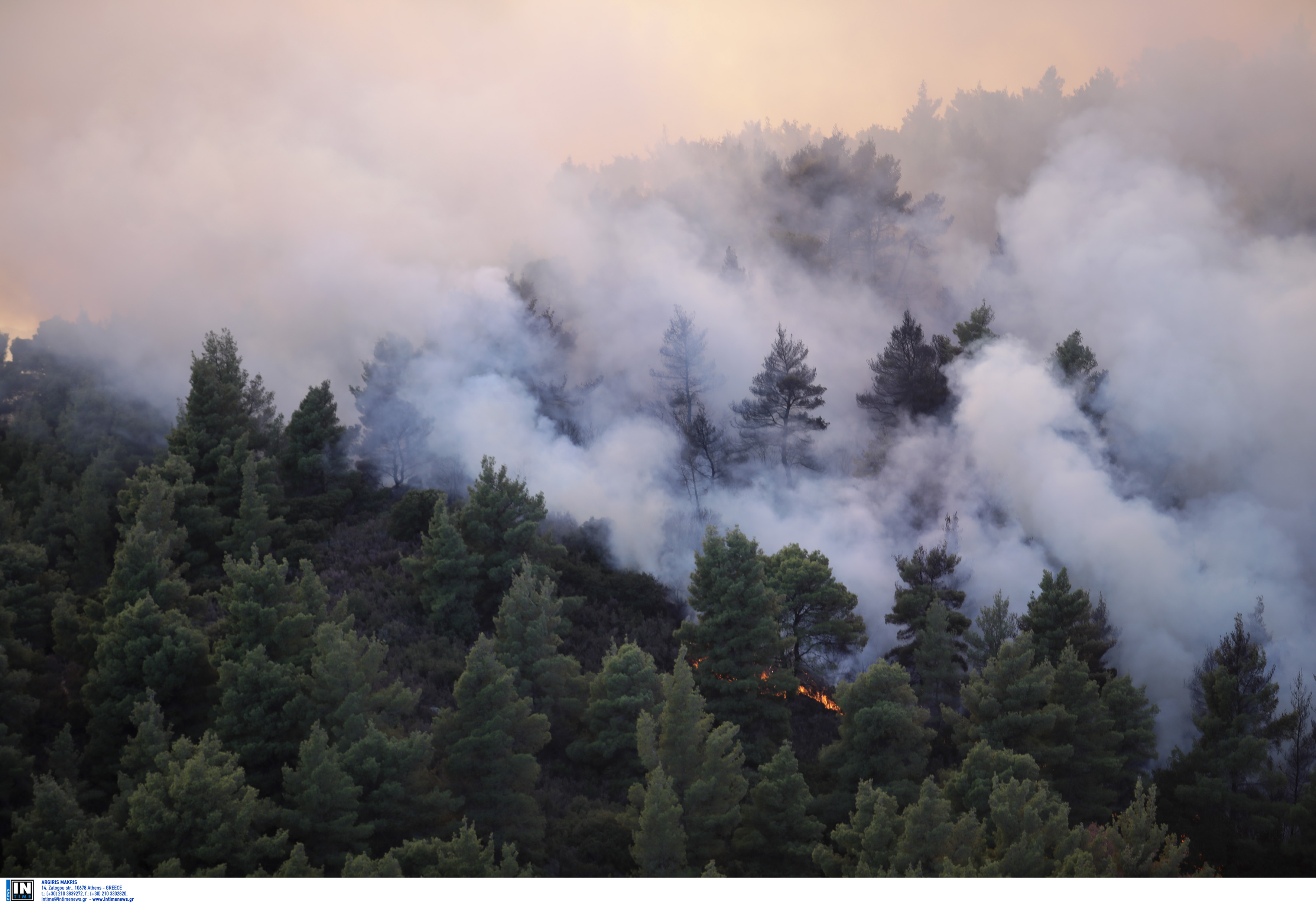 Πέλλα: Από την Κυριακή προσπαθούν να σβήσουν τη φωτιά στα σύνορα