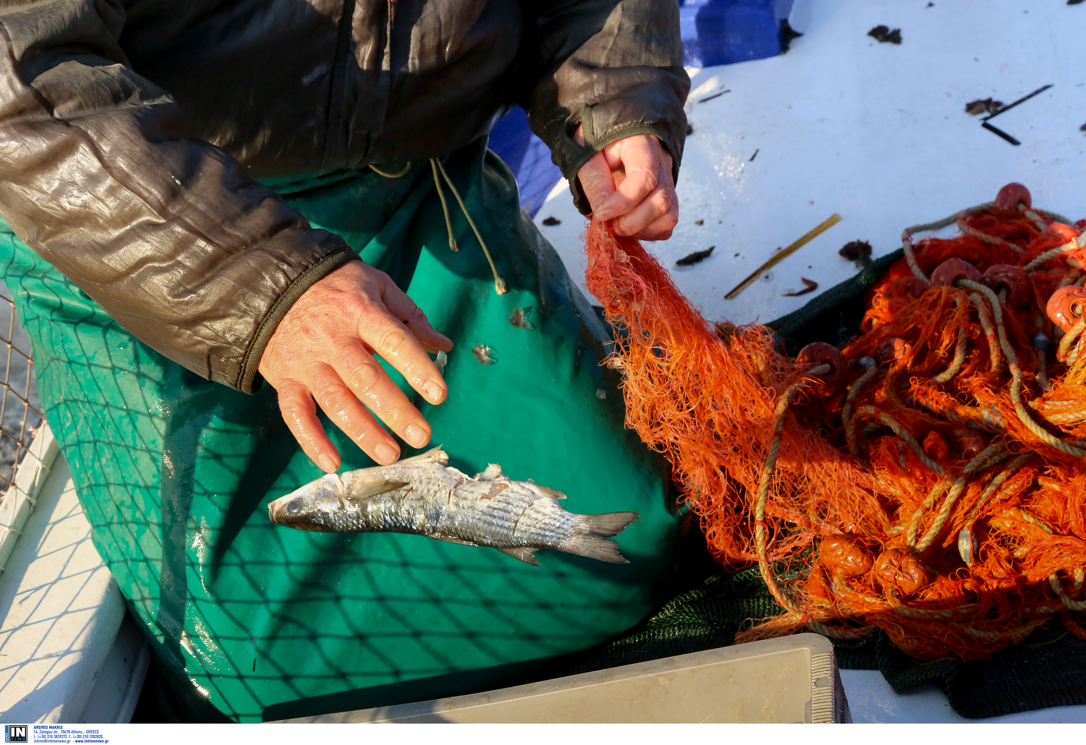 Ηράκλειο: Η απόβαση των λιμενικών σε αλιευτικό σκάφος φώτισε την παρανομία – Κατασχέθηκαν 4,5 τόνοι ψάρια!