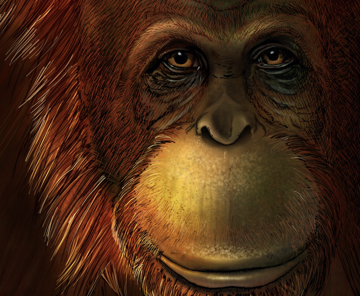Γιγαντοπίθηκος: Ήταν ο μεγαλύτερος που έζησε στη Γη – Τρία μέτρα ύψος και 600 κιλά βάρος!