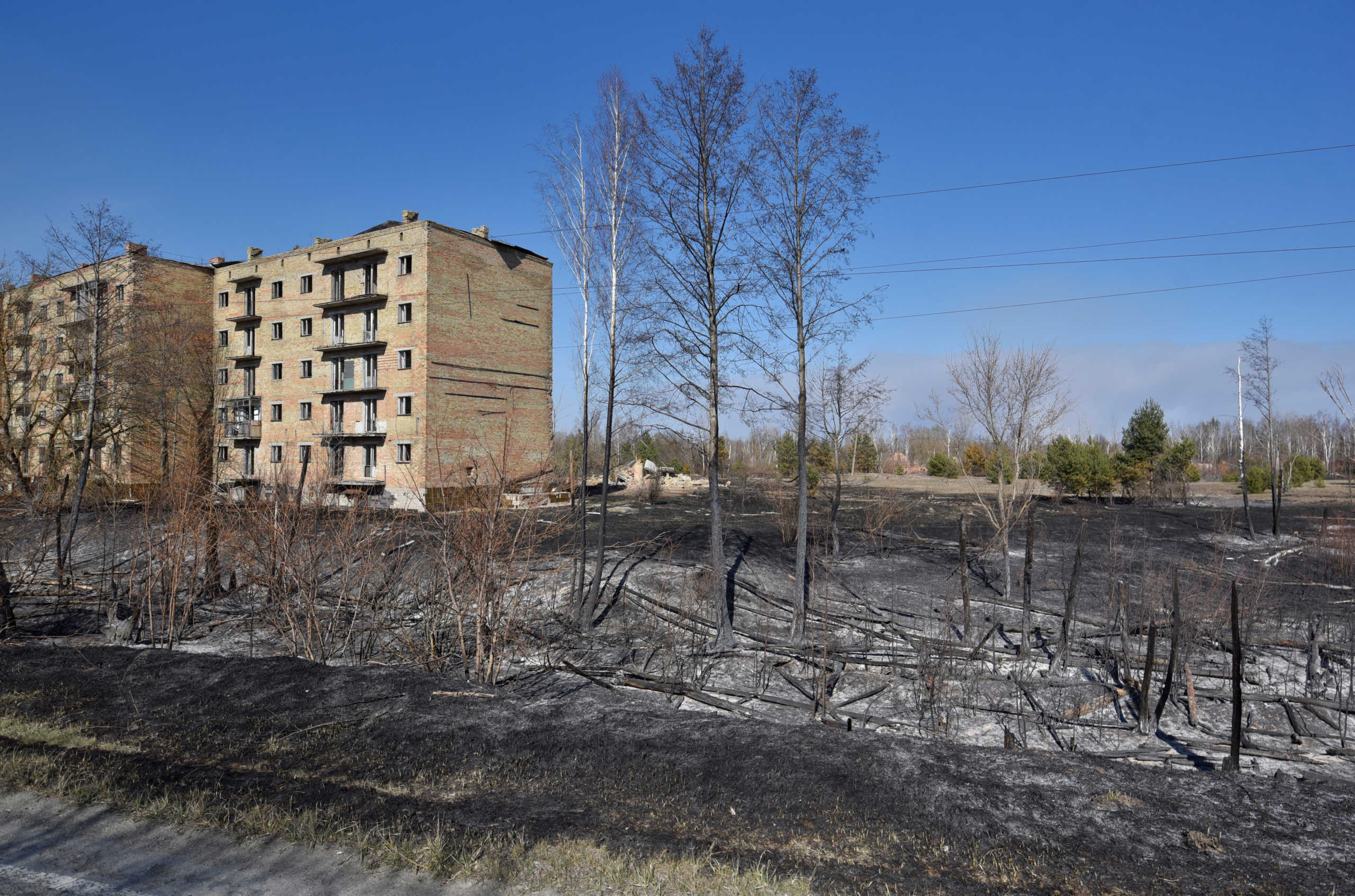 Drone καταγράφει ανατριχιαστικά πλάνα από το δάσος που κάηκε στο Τσέρνομπιλ