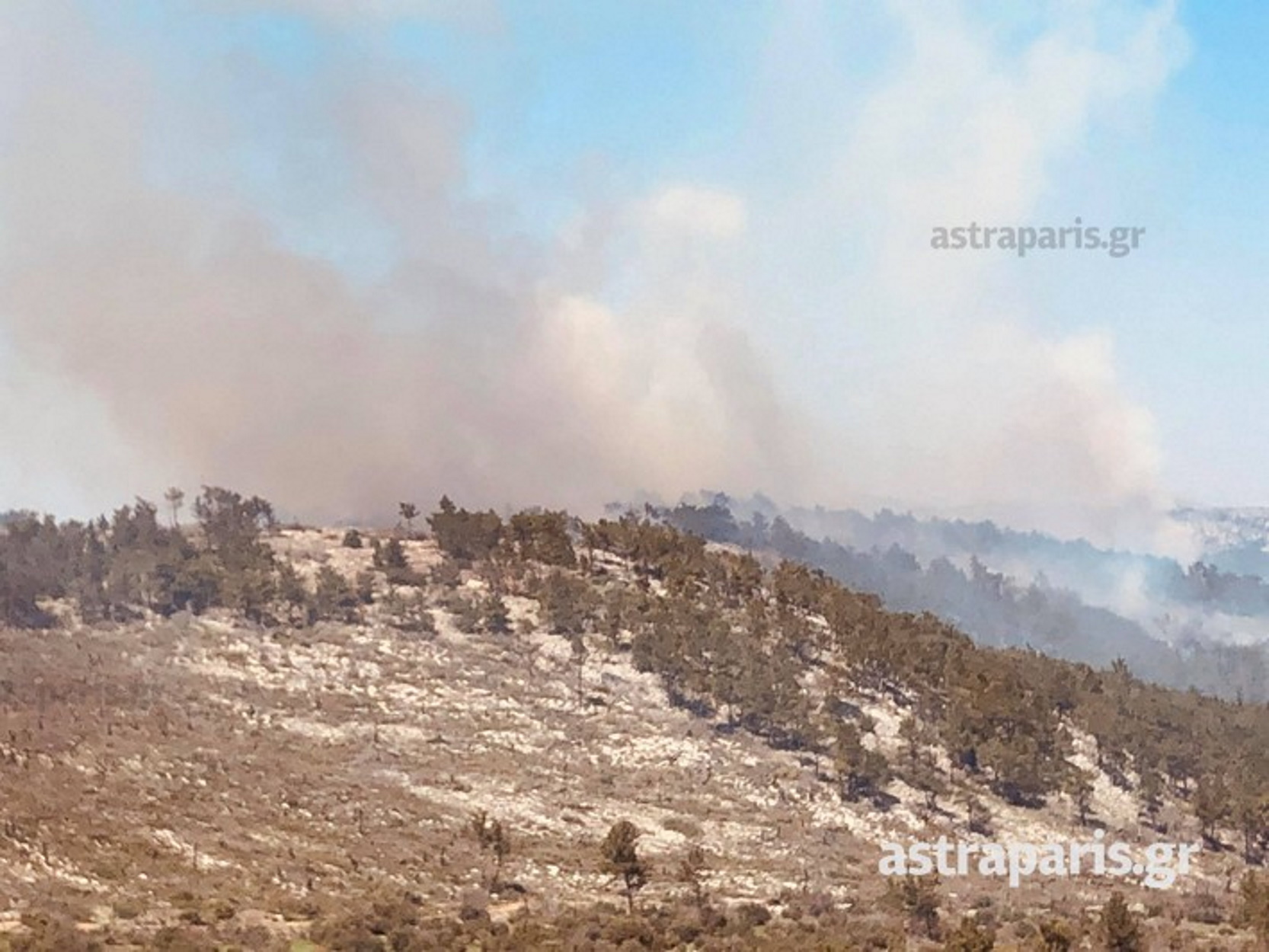 Χίος: Μεγάλη φωτιά σε δάσος στην Ανάβατο (pics, video)