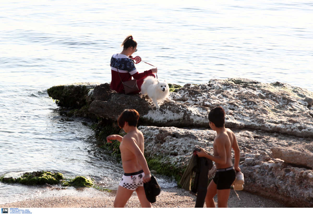 Σύψας: Πιστεύω το καλοκαίρι θα έχουμε το φάρμακο