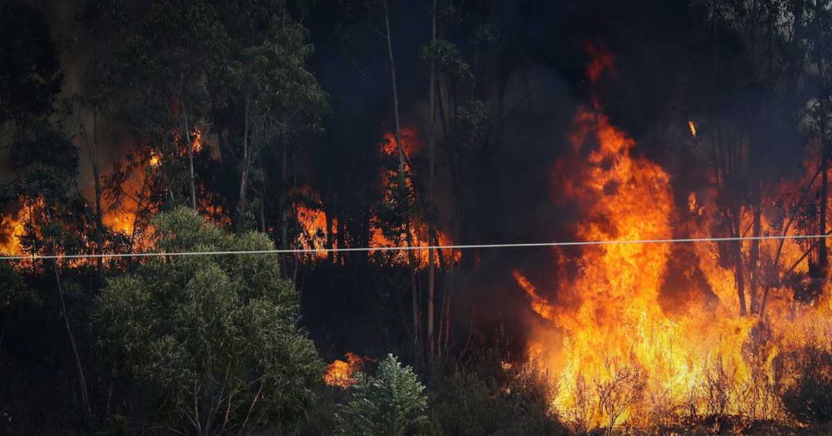 Ισπανία: Μαίνεται η φωτιά στην Ουέλβα – Τουλάχιστον 3.200 άνθρωποι εγκαταλείπουν τα σπίτια τους