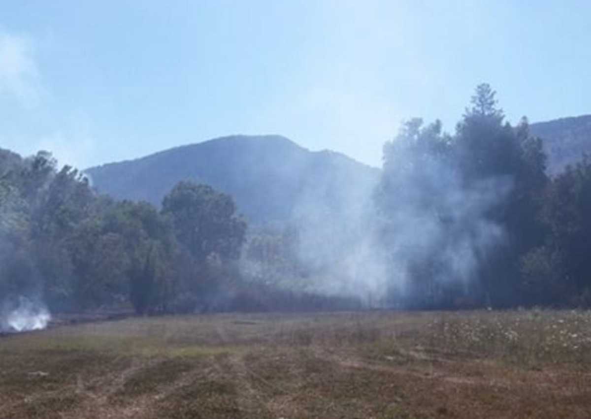 Φωτιά στην Πρέβεζα (video)