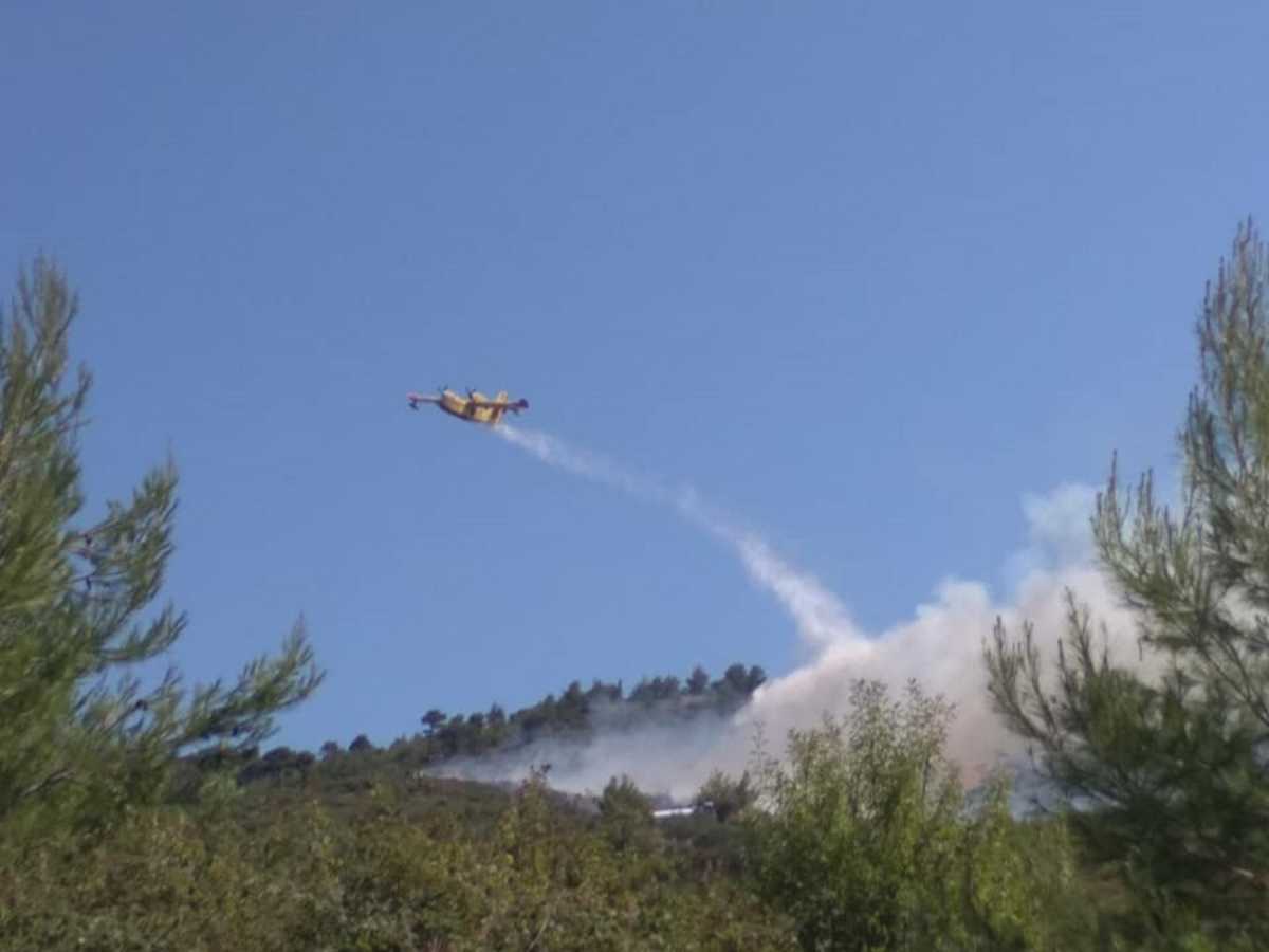 Συναγερμός στην Αττική – Πυρκαγιά στη Ροδόπολη