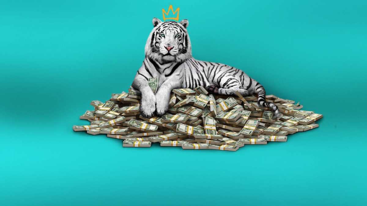 Γιατί πρέπει να δείτε στο Netflix το «White Tiger»
