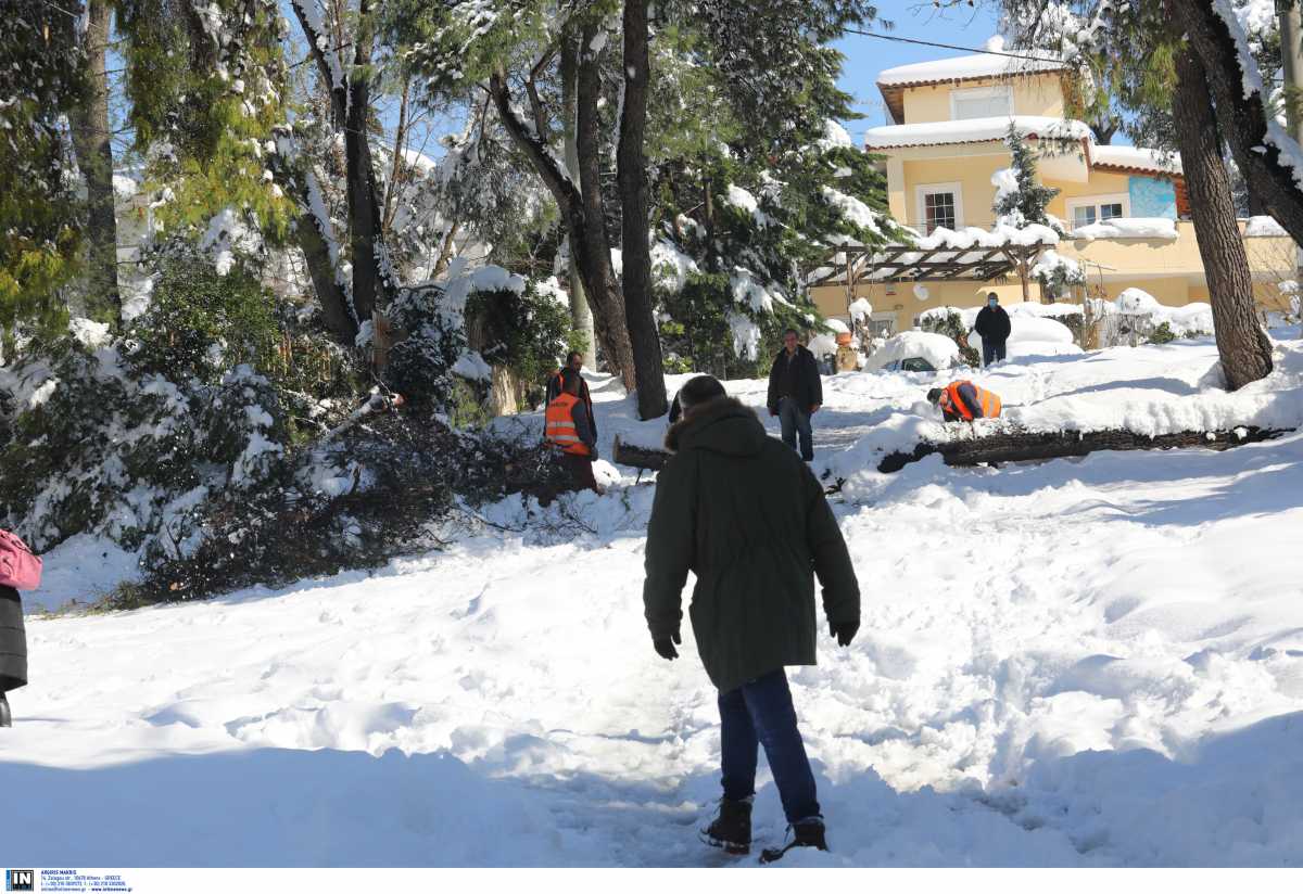 ΔΕΔΔΗΕ: Περίπου 38.000 νοικοκυριά και επιχειρήσεις έχουν ρεύμα ξανά