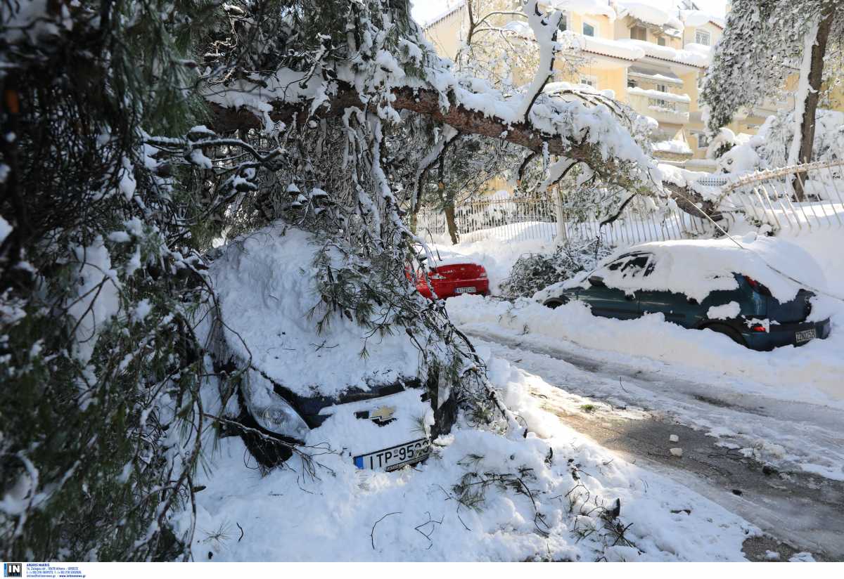 Ξεχειλίζει η οργή των κατοίκων σε 7 περιοχές της Αττικής – Δήμος Ωρωπού: Κινδυνεύουν ζωές