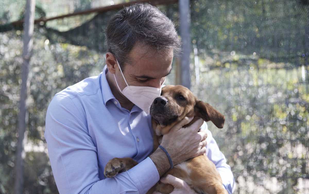 Μητσοτάκης από το καταφύγιο ζώων Ηλιούπολης: Αγκαλιάστε και σώστε ένα αδέσποτο (pics, vid)