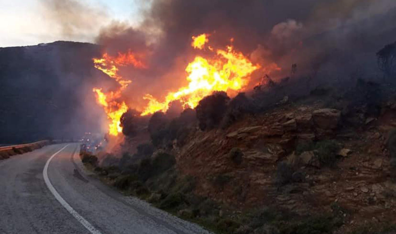 Μεγάλη φωτιά στην Άνδρο: Εκκενώθηκαν δυο οικισμοί, τραυματίστηκε πυροσβέστης (video)
