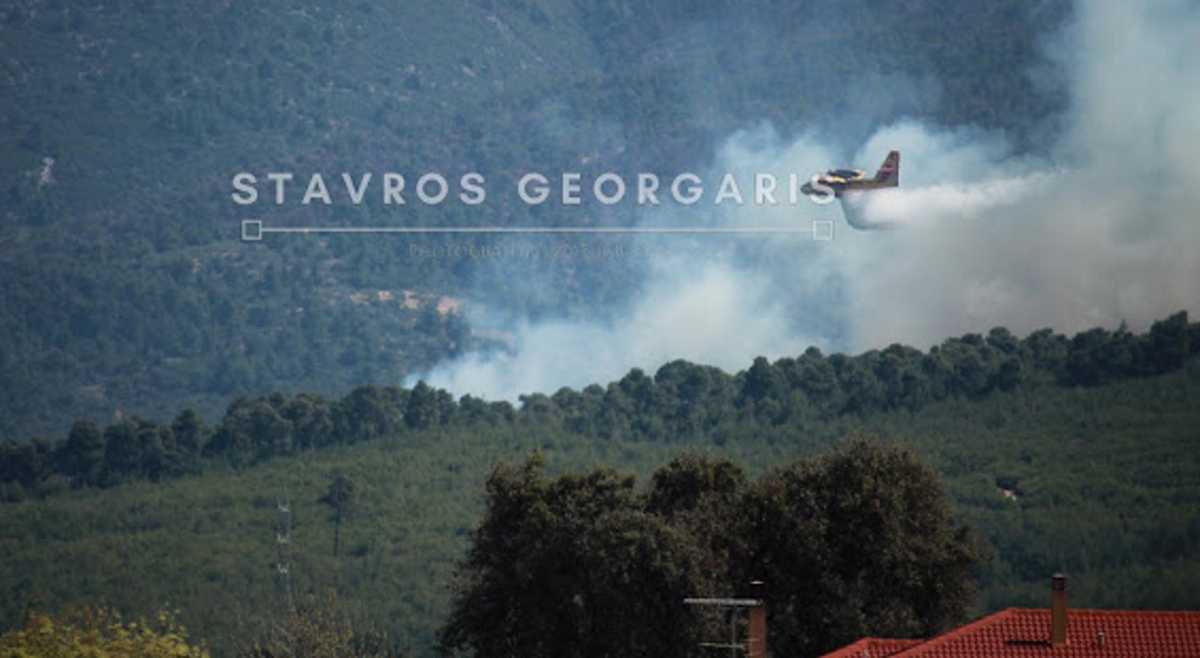 Φωτιά στο Χιλιομόδι Κορινθίας (pics)