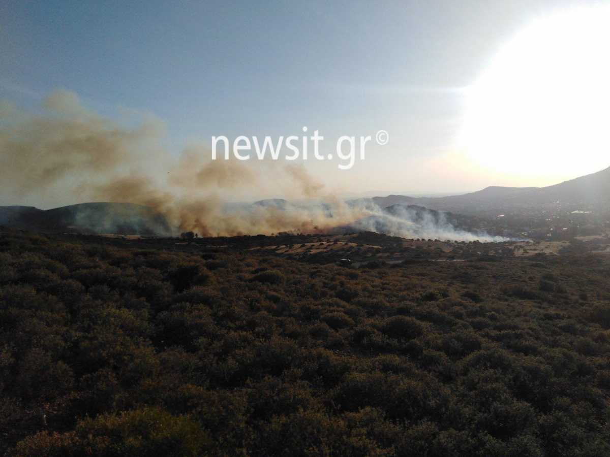 Φωτιά στην Ανάβυσσο – Συναγερμός στην Πυροσβεστική