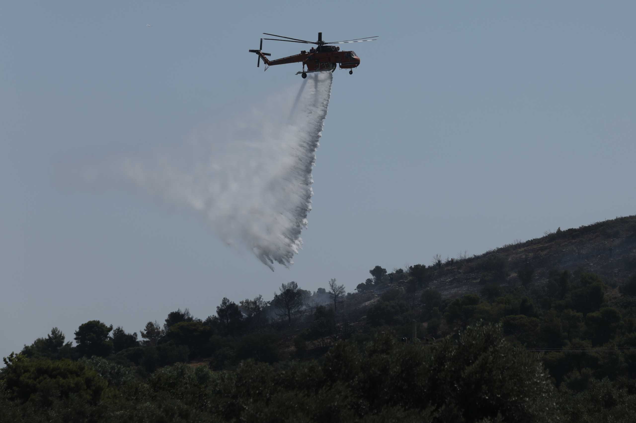 Κεφαλονιά: Συναγερμός για μεγάλη φωτιά – Αεροσκάφη και Πυροσβέστες στη μάχη με τις φλόγες