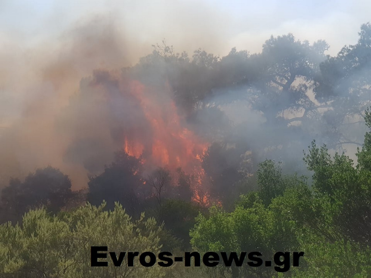 Μεγάλη φωτιά στον Έβρο – Εκκενώνεται περιοχή στο Σουφλί