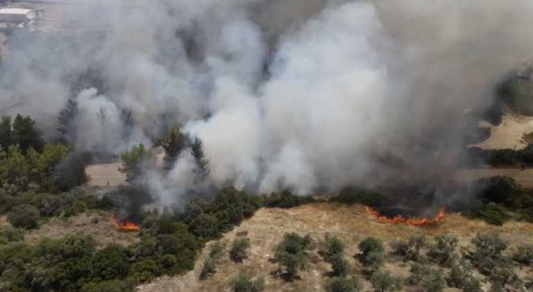 Φωτιά στα Βίλια: Video ντοκουμέντο με εθελοντές ...