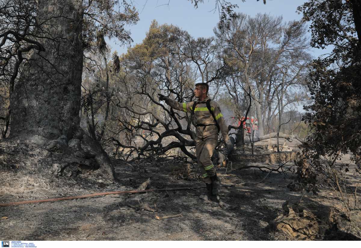 Αχαΐα: Σε κατάσταση έκτακτης ανάγκης οι πυρόπληκτες περιοχές