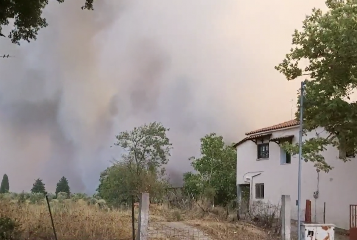 Φωτιά στην Ηλεία: Εγκλωβισμένοι 150 άνθρωποι στο χωριό Κλαδέος – Το νέο μήνυμα του 112