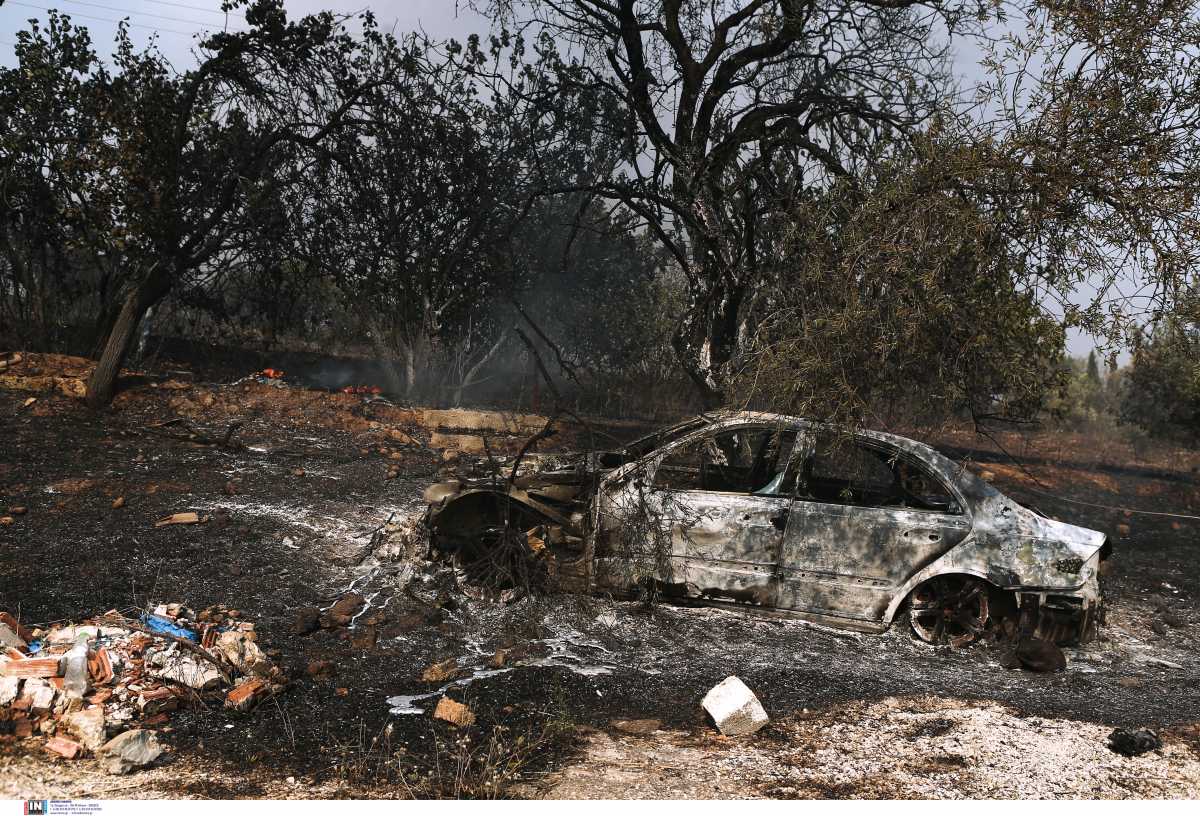 Φωτιές στην Αττική: Συνεδρίαση του ΔΣ του ΔΣΑ για μέτρα στήριξης των πυρόπληκτων