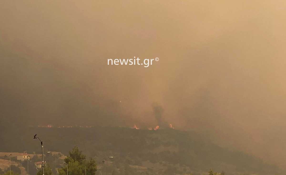 Η φωτιά πλησιάζει απειλητικά τα Βίλια: Αυτό είναι το μέτωπο