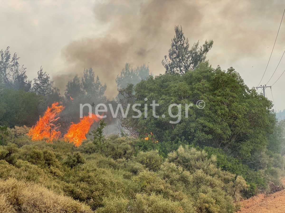 Αττική: 9 οι τραυματίες από την μεγάλη φωτιά - Βίντεο ...