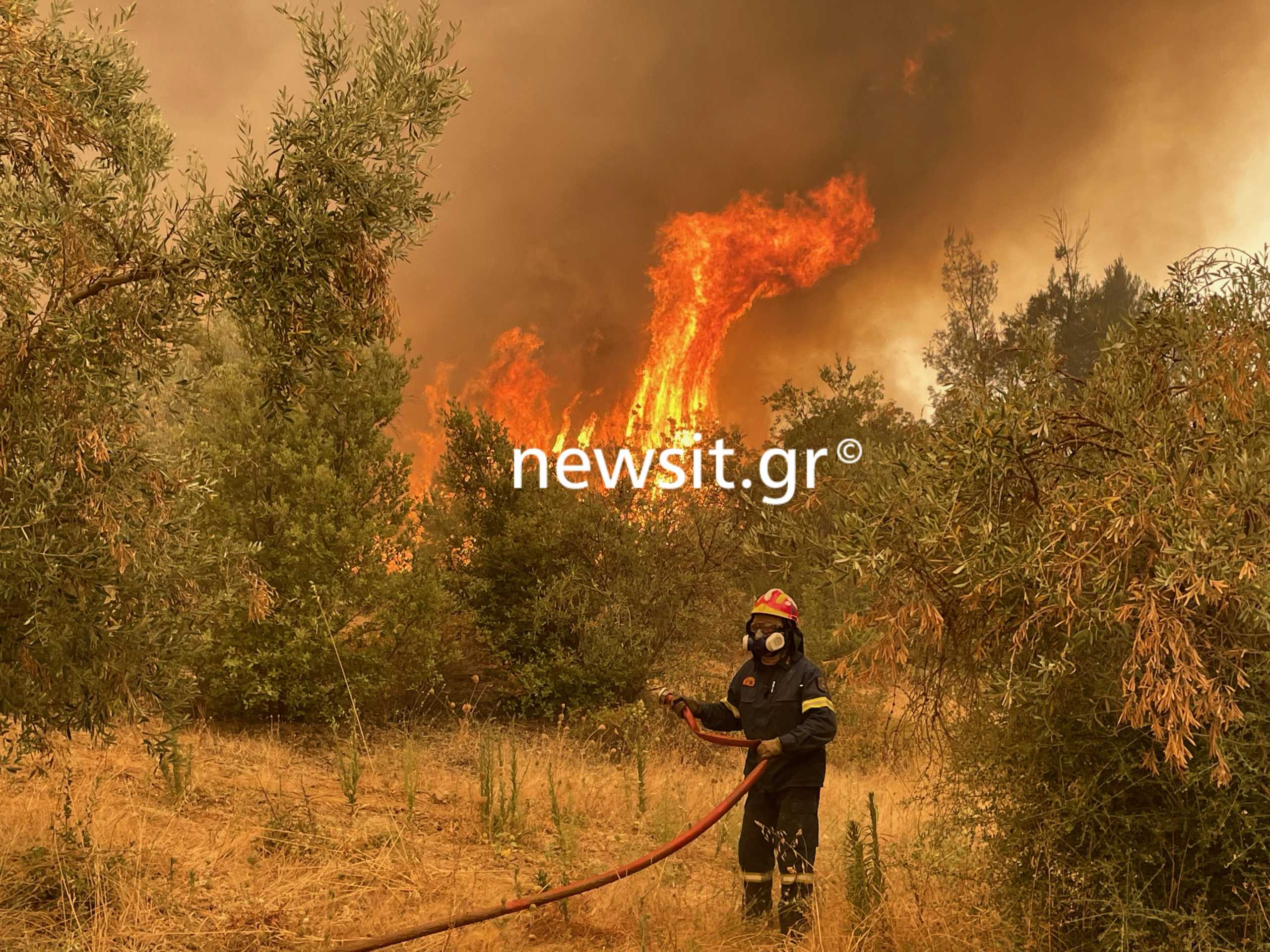 Φωτιά στην Εύβοια: Αναζωπύρωση στο χωριό Γερακιού – Απειλούνται οι Καματριάδες