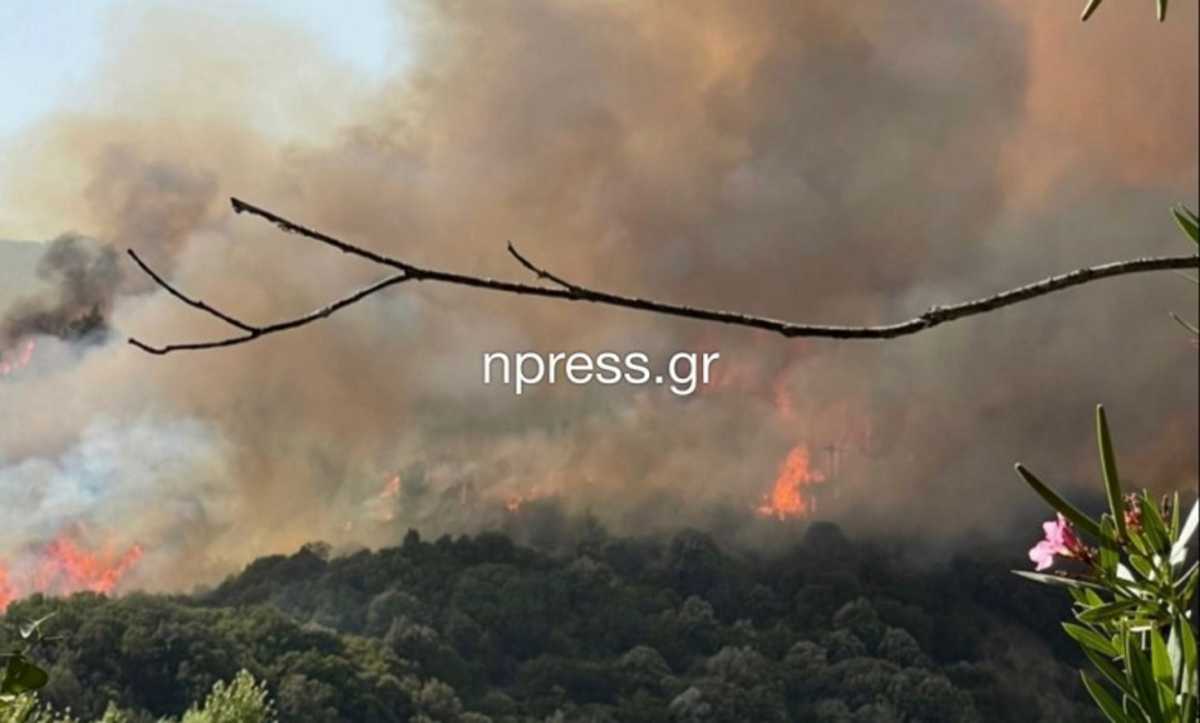 Αγρίνιο: Τέθηκε υπό έλεγχο η φωτιά στο Παραδείσι