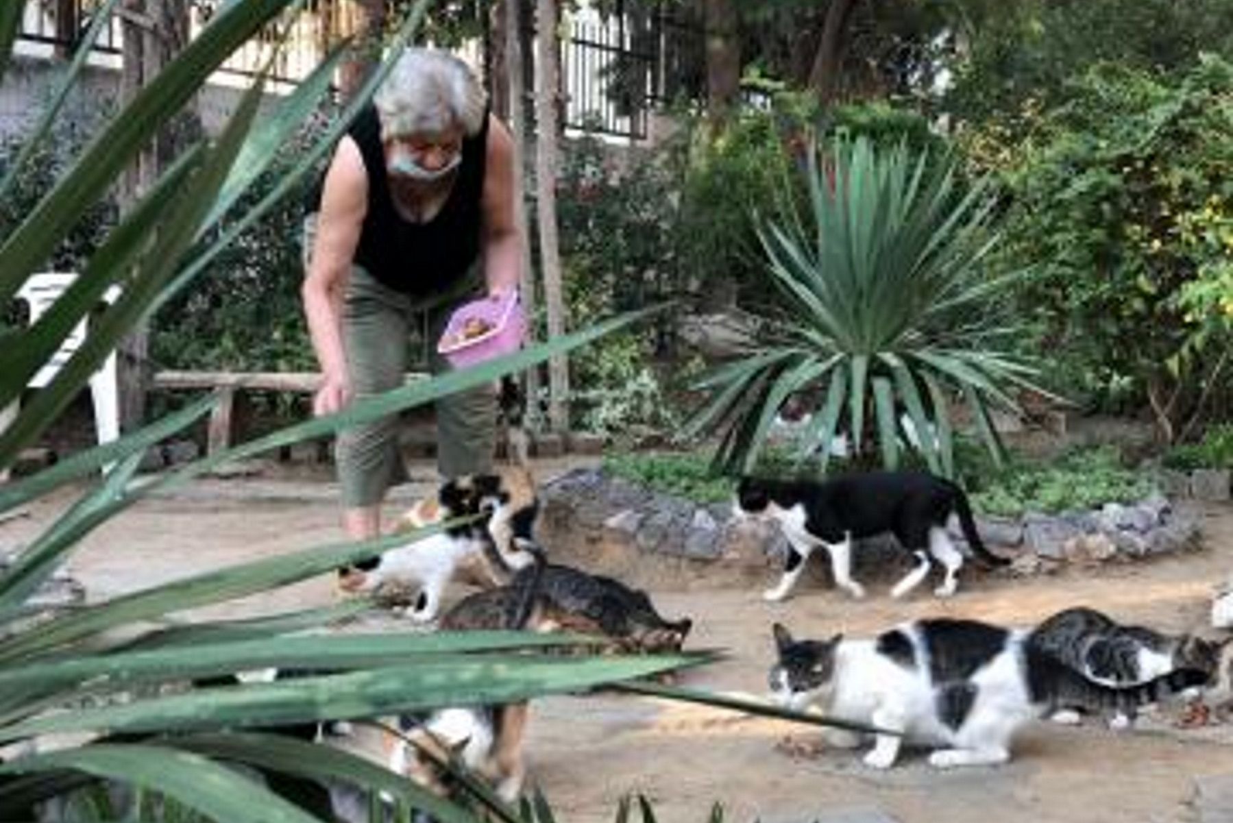 Καλαμαριά: Το πάρκο του μπαρμπα-Γιάννη δίνει ζωή στη γειτονιά χωρίς αυτόν