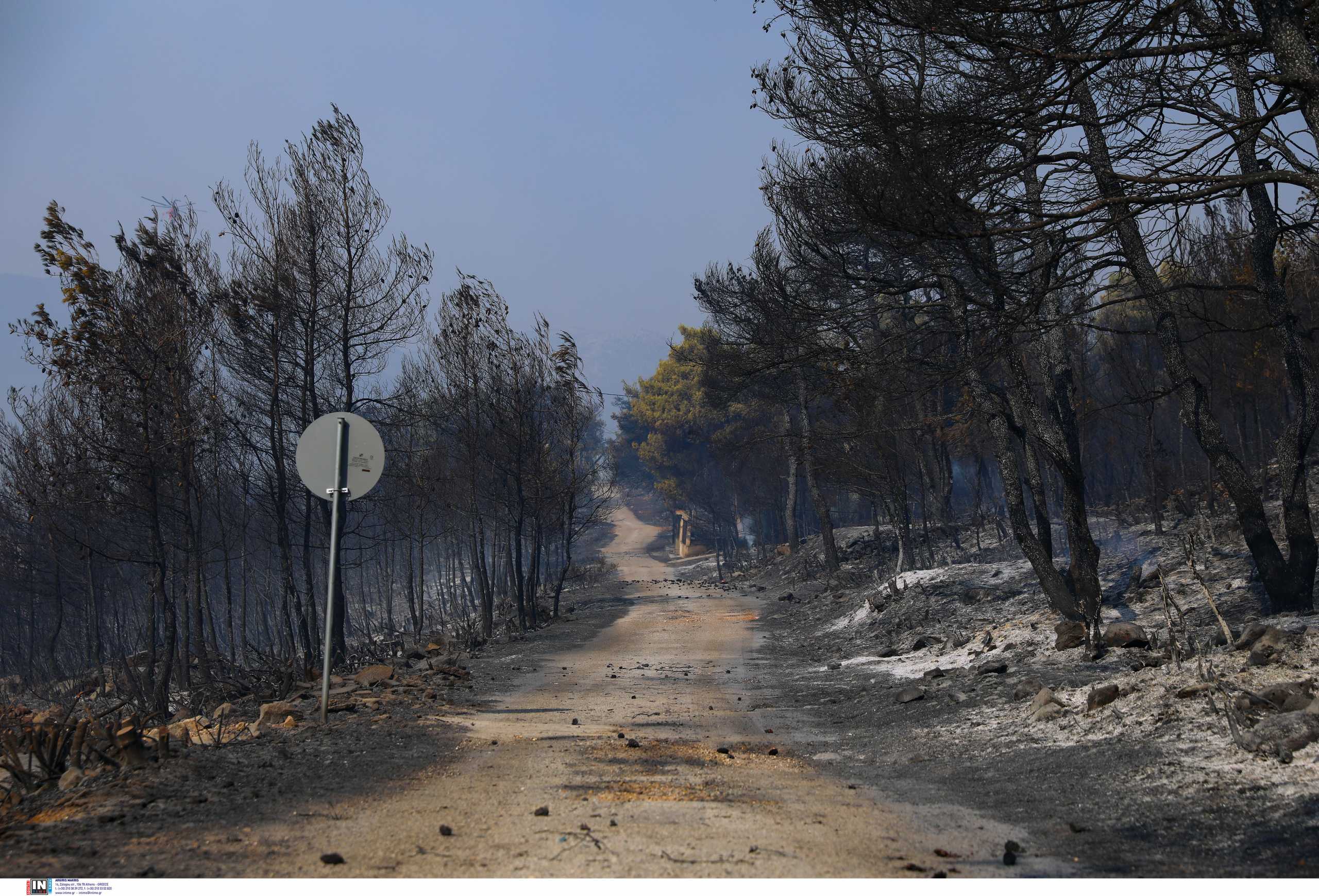 Φωτιά στα Βίλια: Στάχτη 94.000 στρέμματα – Άλλα 5.317 κάηκαν στην Κερατέα