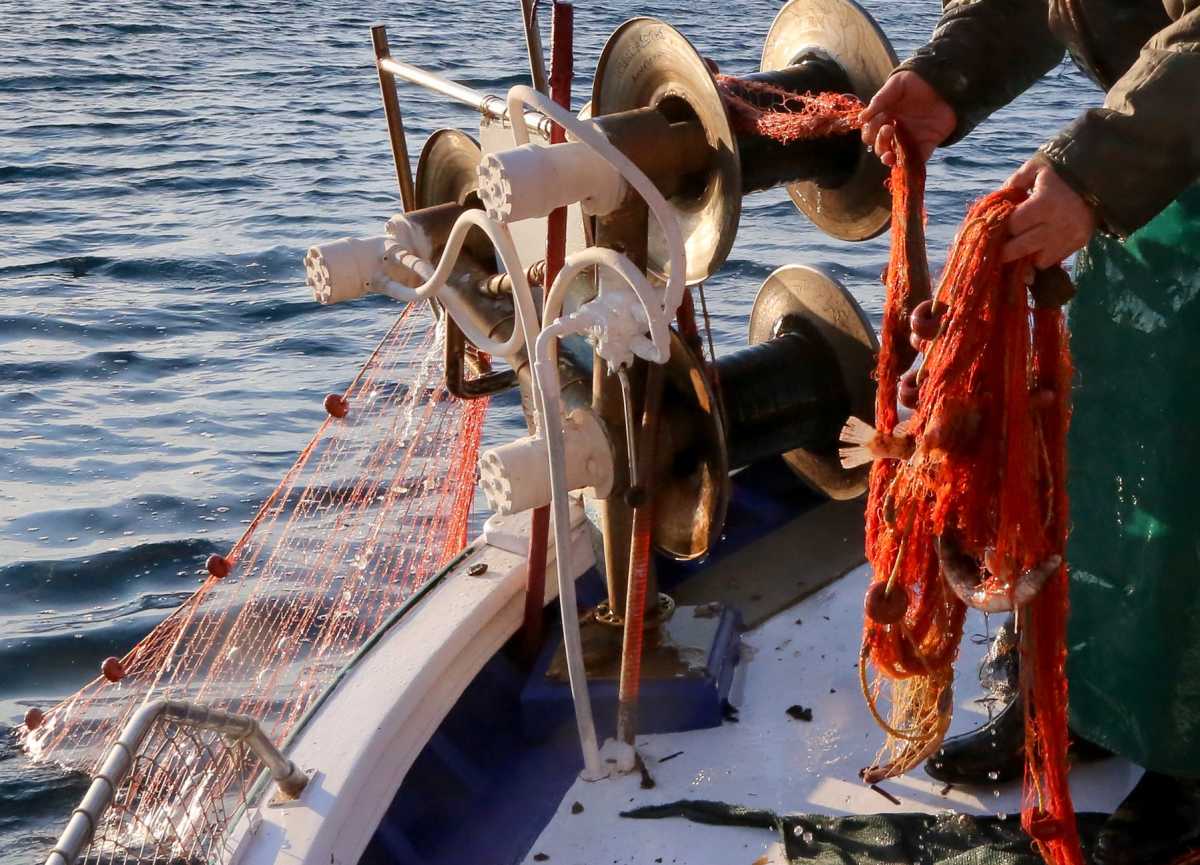 Βόλος: Ψαράς βρήκε νεκρό ψαροντουφεκά και… ξαναπέταξε το πτώμα στη θάλασσα