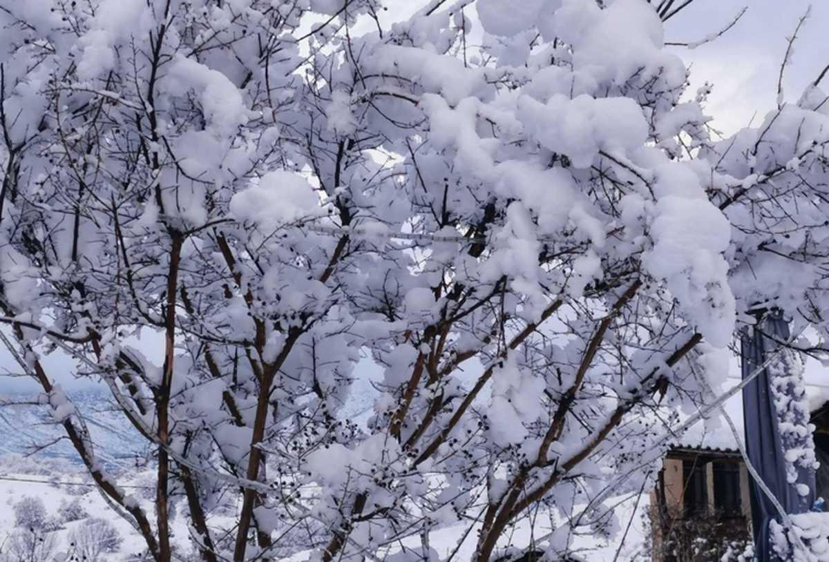 Καιρός – Σέρρες: Παραμυθένιο τοπίο στα χιόνια – Ξεπέρασε τους 30 πόντους στο Καρυδοχώρι