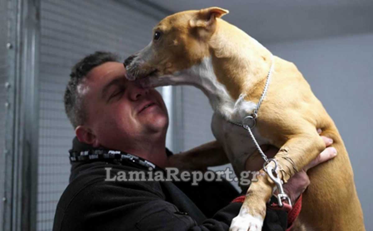 Λαμία: Κινδύνεψε να πνιγεί για να σώσει 35 σκυλιά – Πώς έπαιξε τη ζωή του κορώνα γράμματα