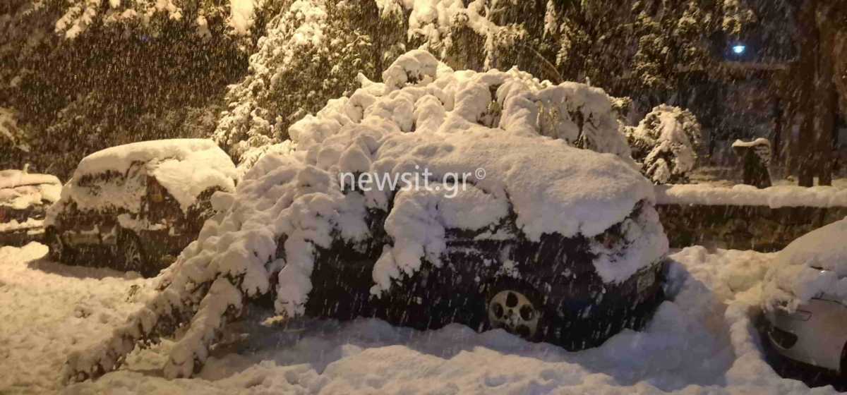 Κακοκαιρία Ελπίδα: Τα χιόνια έθαψαν αυτοκίνητα στου Ζωγράφου – Δέντρο καταπλάκωσε όχημα