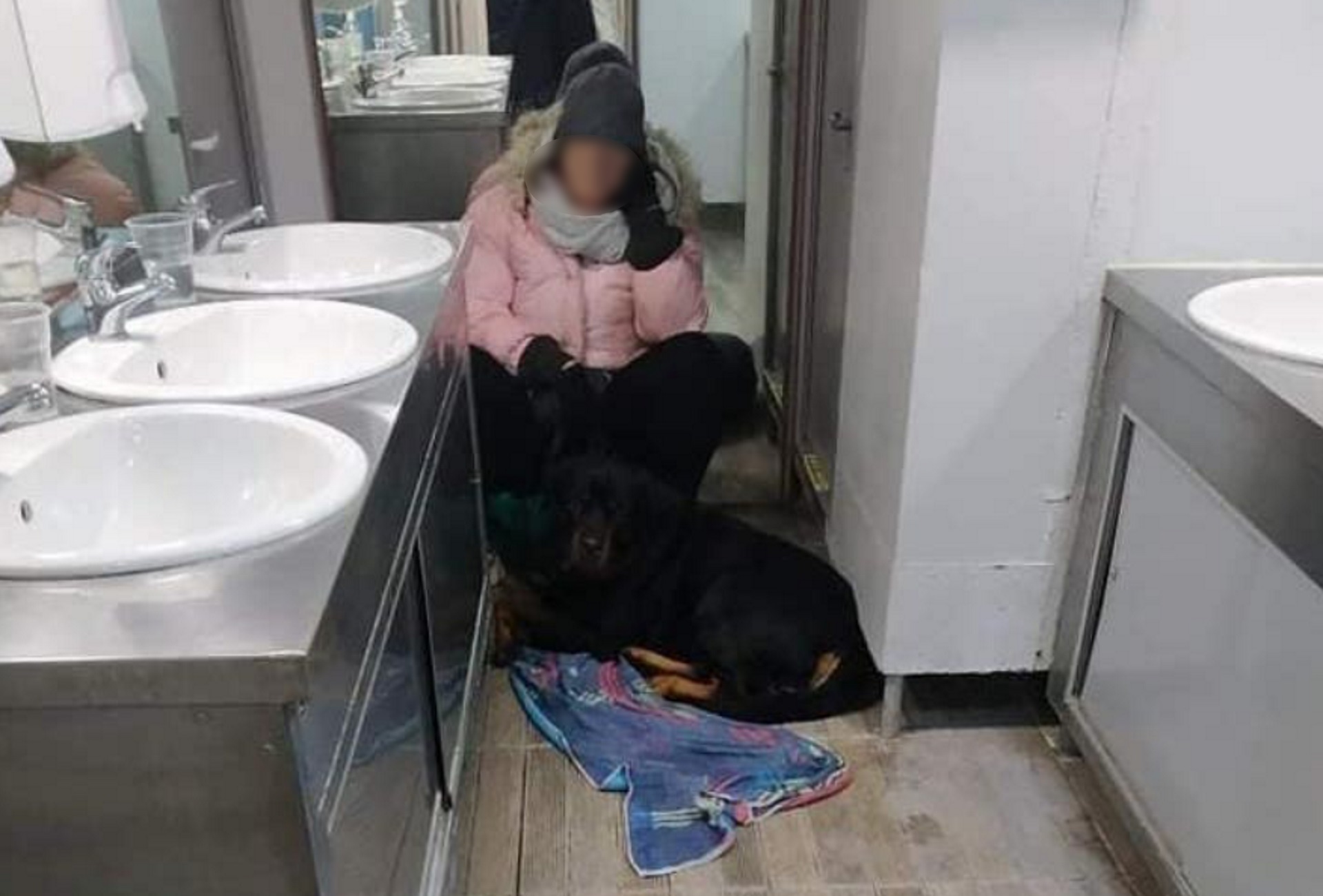 Σκόπελος: Αδιανόητες εικόνες σε πλοίο με αυτή τη γυναίκα να παραμένει κλειδωμένη σε τουαλέτα για 5 ώρες