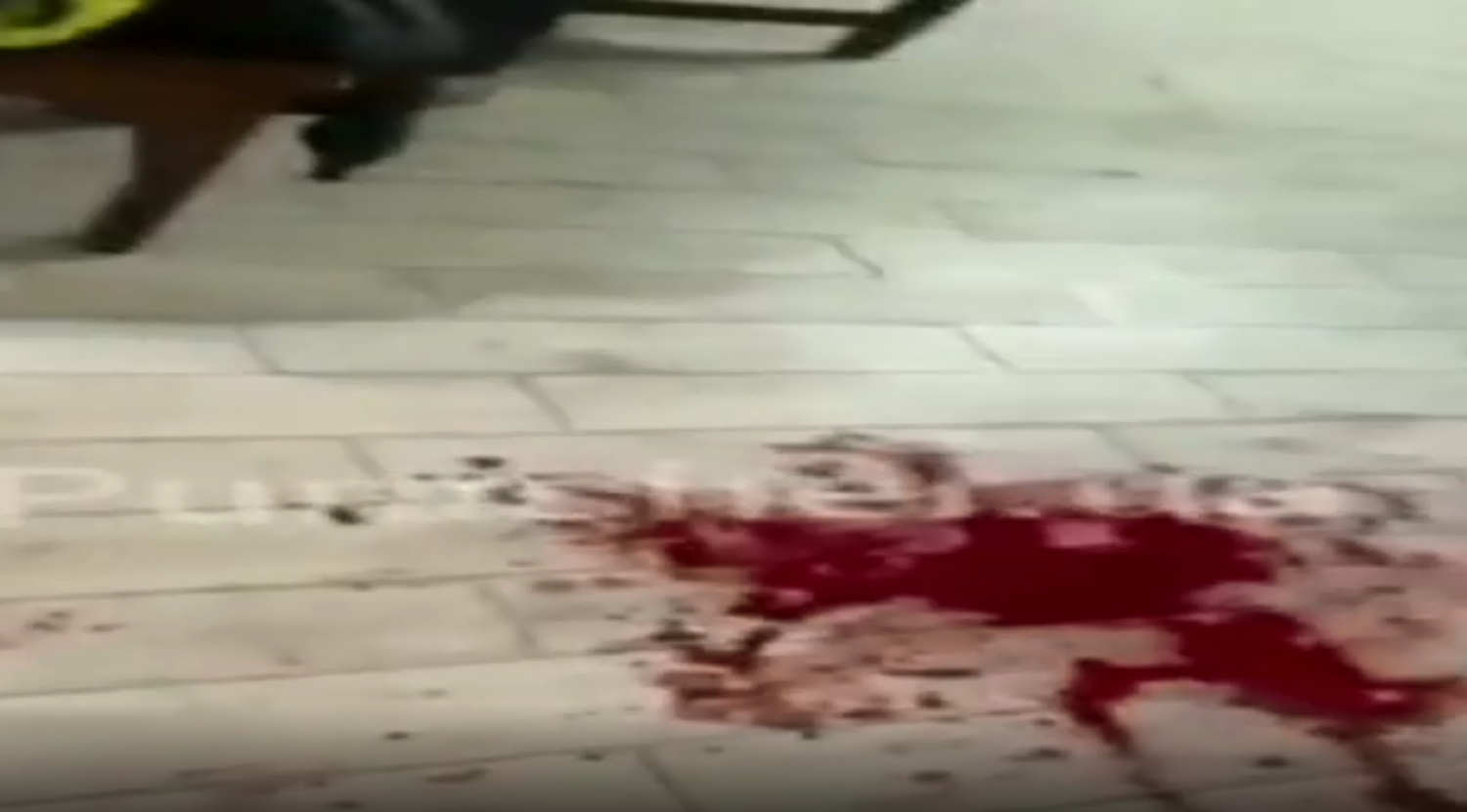 Ουκρανία: Βίντεο από τη δολοφονία των Ελλήνων ομογενών - Σκληρές εικόνες