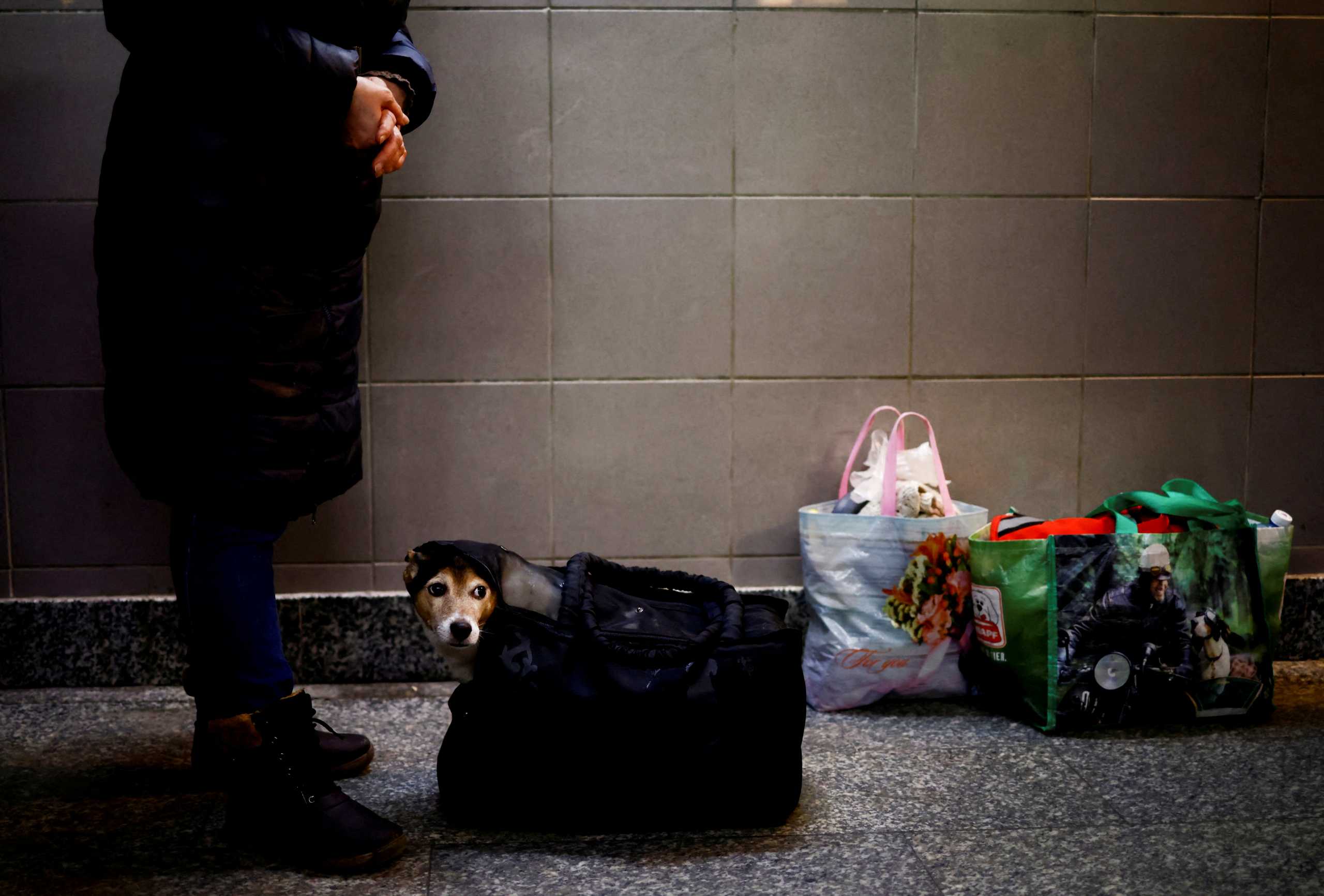 A woman and her dog wait at the train station after fleeing Russian invasion of Ukraine, in Przemysl, Poland, March 2, 2022. REUTERS