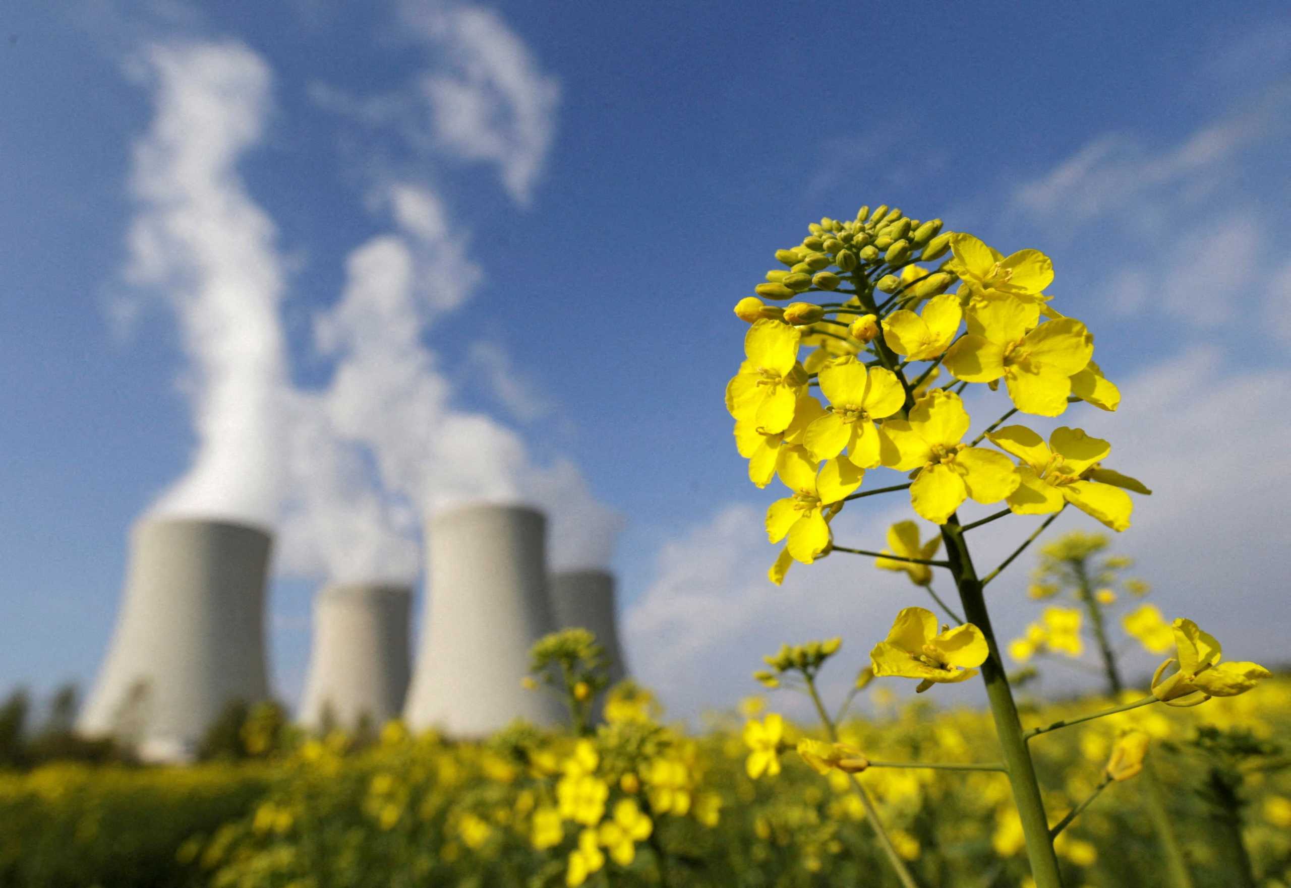 FILE PHOTO: A mustard field is seen in front of the cooling towers of the Temelin nuclear power plant near the South Bohemian city of Tyn nad Vltavou April 12, 2014. Picture taken April 12, 2014. REUTERS