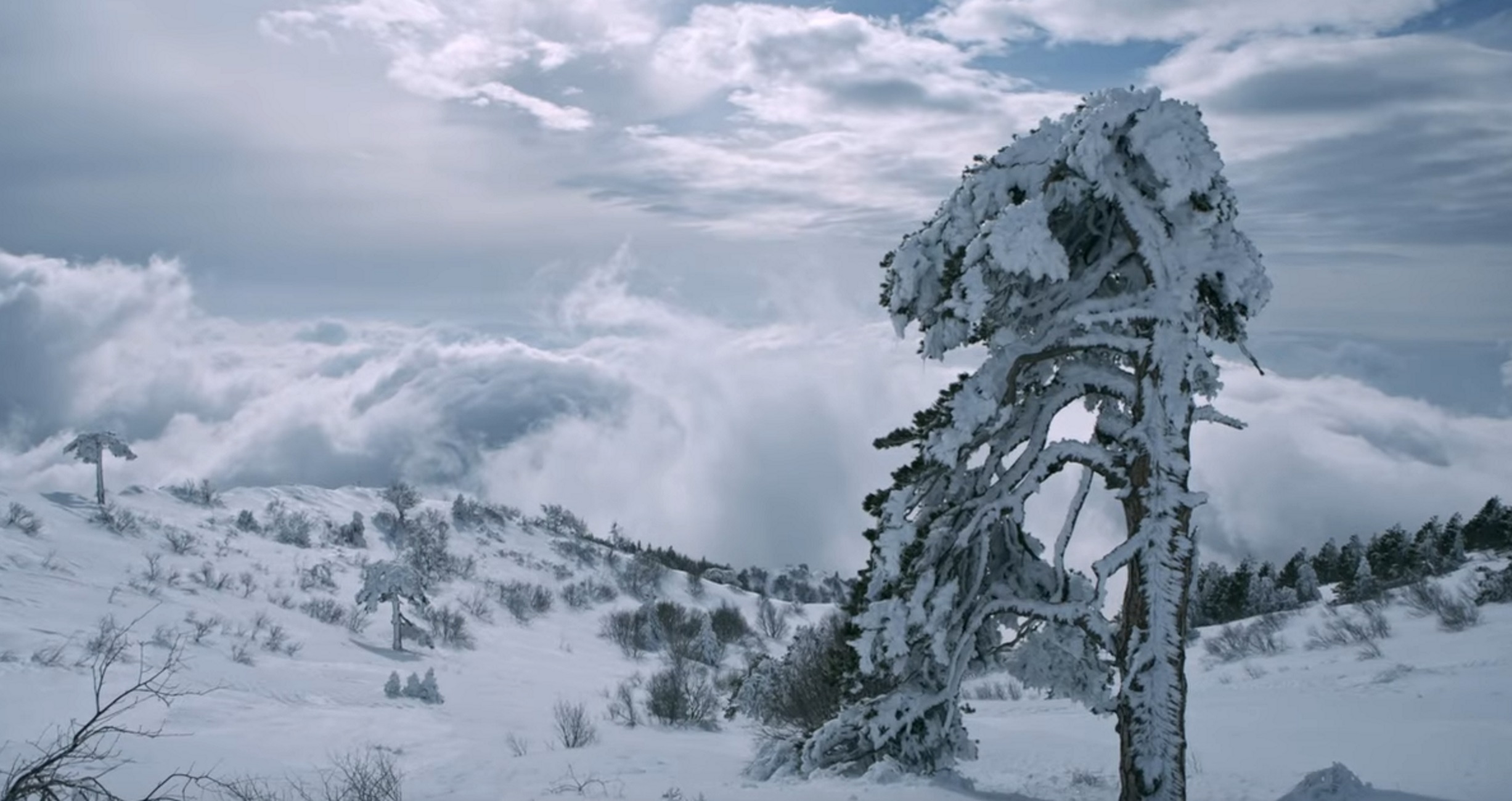 Άγιο Όρος: Εκπληκτικές εικόνες που οι περισσότεροι δεν έχουν δει – Το τρέιλερ της νέας καθηλωτικής ταινίας