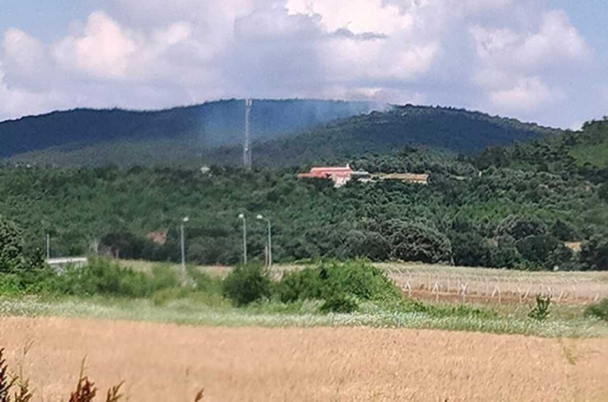 Φωτιά στην Αλεξανδρούπολη – Επίγειες και εναέριες δυνάμεις στο σημείο