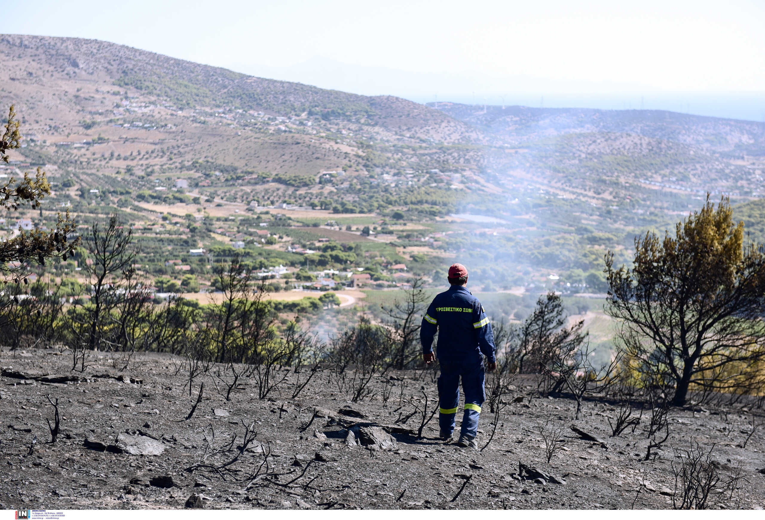 Φωτιά στη Χαλκιδική – «Υπάρχουν σπίτια σε κοντινή απόσταση»