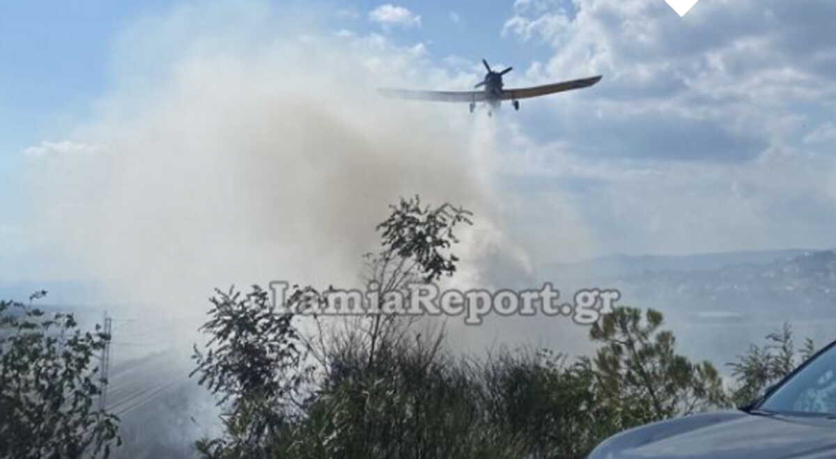 Φωτιά στη Φθιώτιδα – Κινητοποιήθηκαν επίγεια και εναέρια μέσα