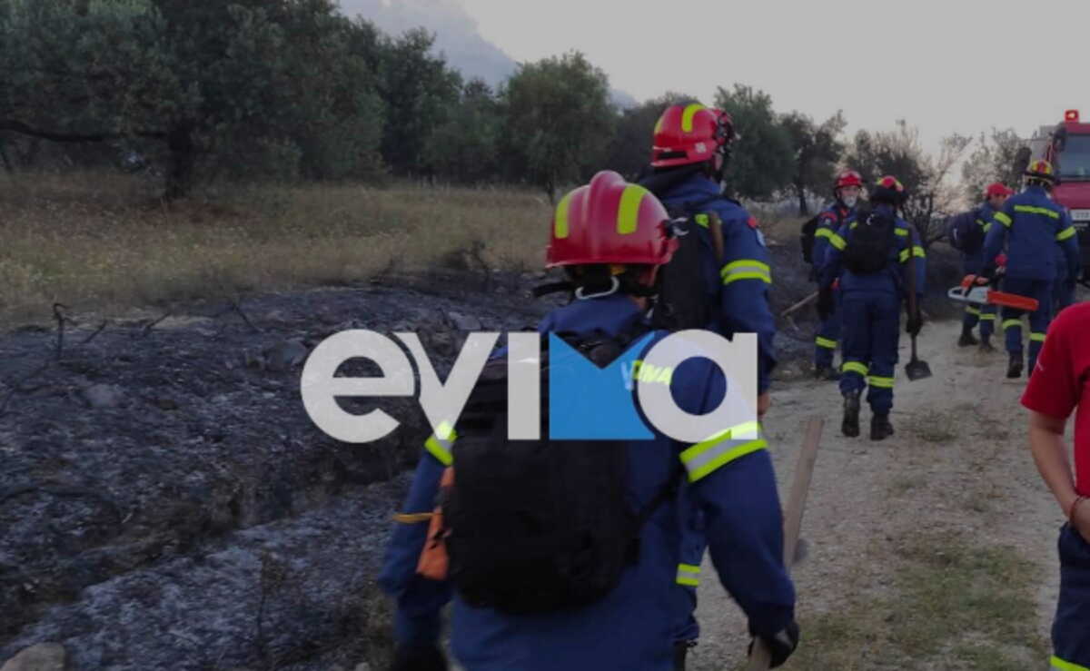 Φωτιά στην Κάρυστο Εύβοιας: Τραυματίστηκε πυροσβέστης στο κεφάλι – Σε ύφεση οι εστίες