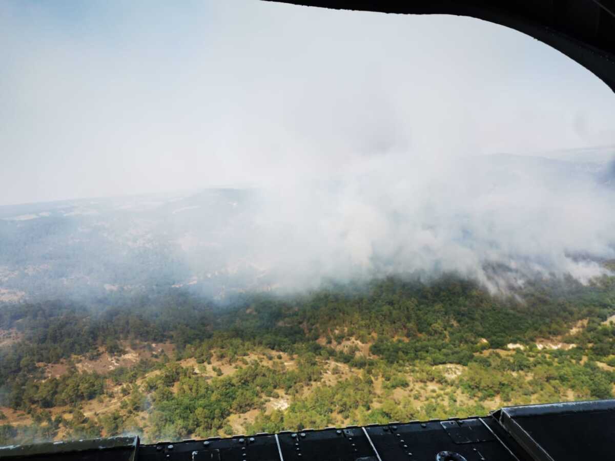 Φωτιά στον Έβρο: Το δύσκολο έργο της κατάσβεσης στο δάσος της Δαδιάς – Βίντεο από την επιχείρηση