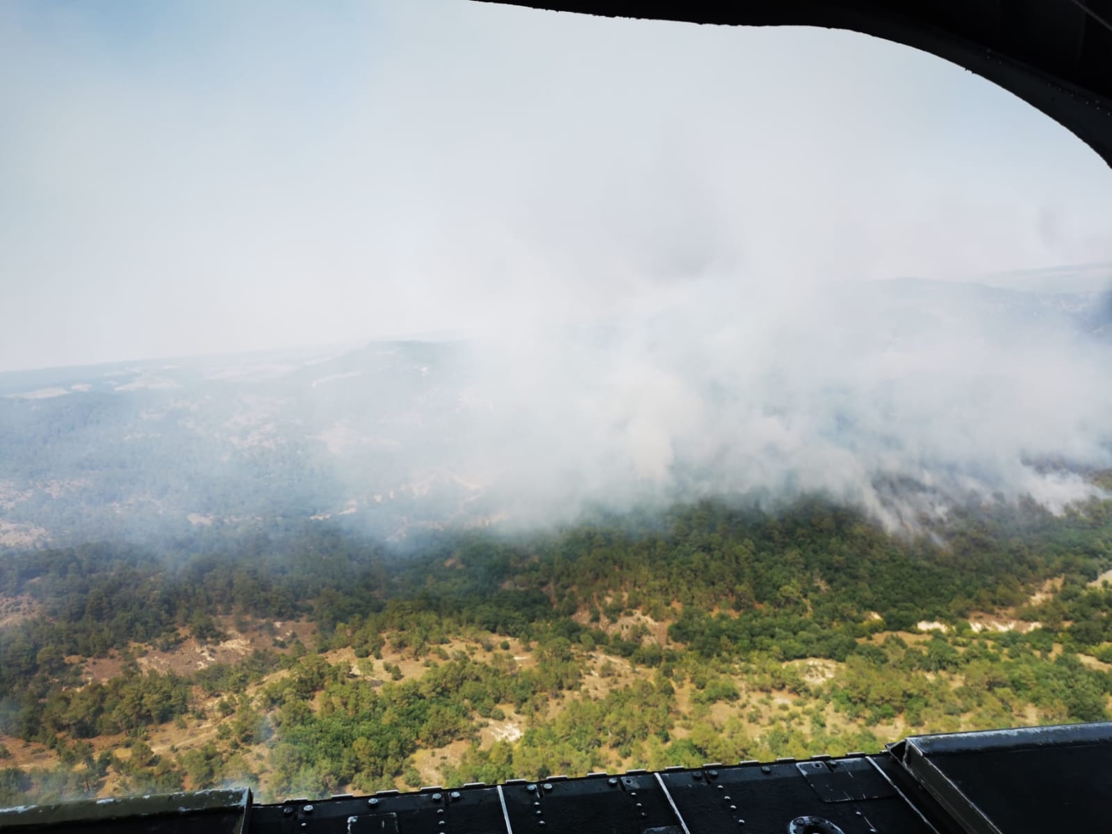 Φωτιά στον Έβρο: Δύσκολες ώρες στο δάσος της Δαδιάς – Πολλά τα πύρινα μέτωπα