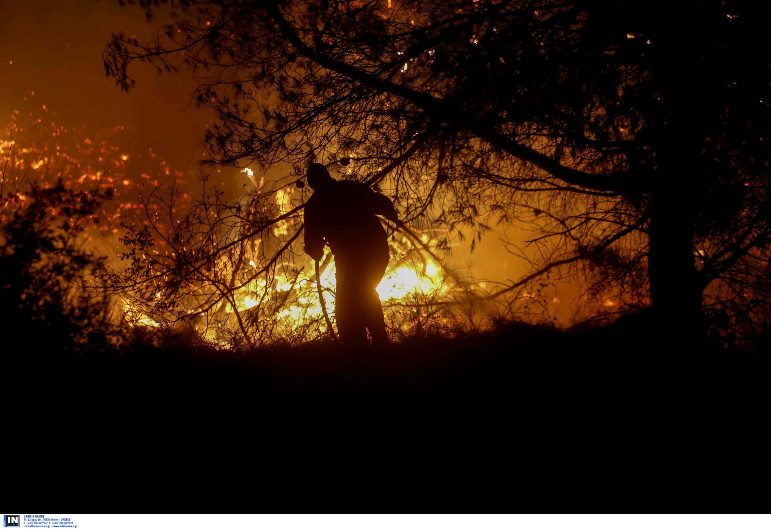 51 φωτιές σε δάση μέσα σε μία μέρα – Έρευνες του ανακριτικού της πυροσβεστικής για εμπρησμούς