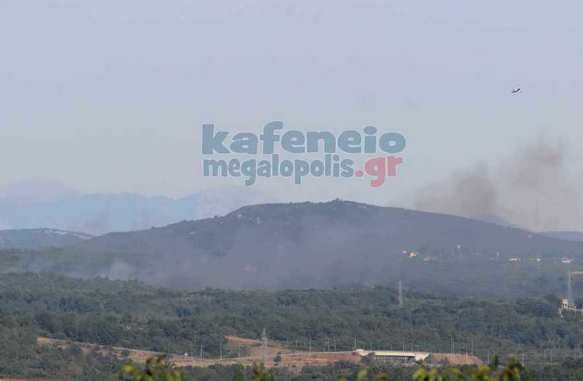 Φωτιά στη Μεγαλόπολη: Σε εξέλιξη η πυρκαγιά στο Ρούτσι, επιχειρούν ισχυρές δυνάμεις